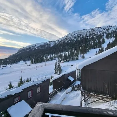 Alpin Chalet Appartement Kvitfjell